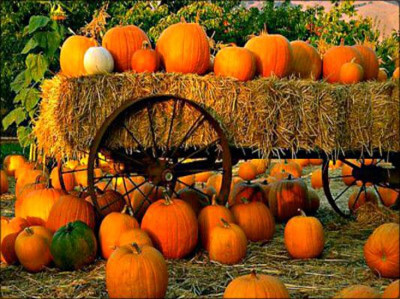 Perfect Pumpkin Smoothie | Gen-X Health